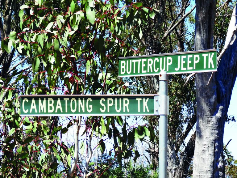 street-sign-buttercup-jeep-tk-and-camatong-spur-tk